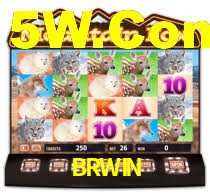 BRWIN